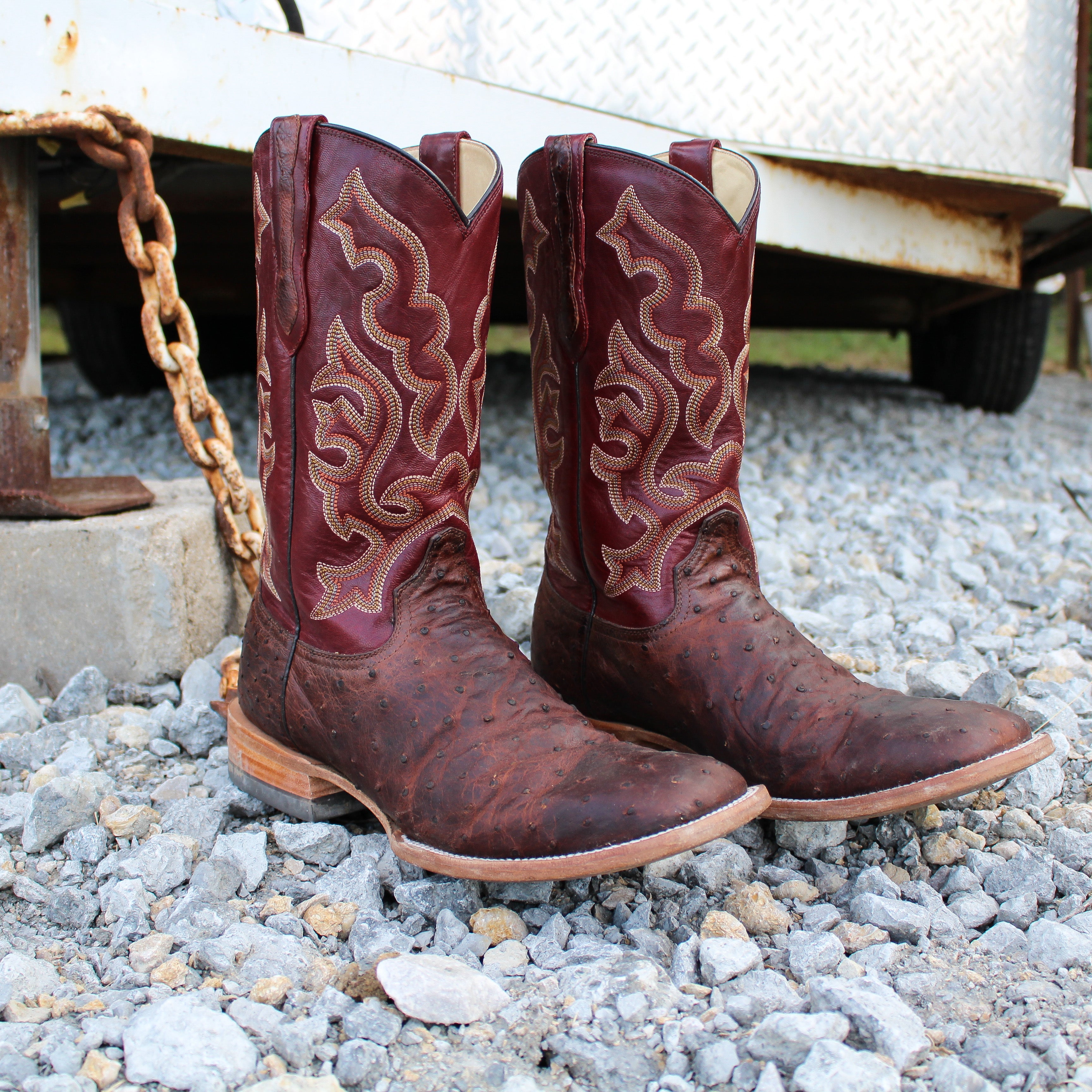 Jackson - Reno edition Full Quill Ostrich Boot - Capitan Boots