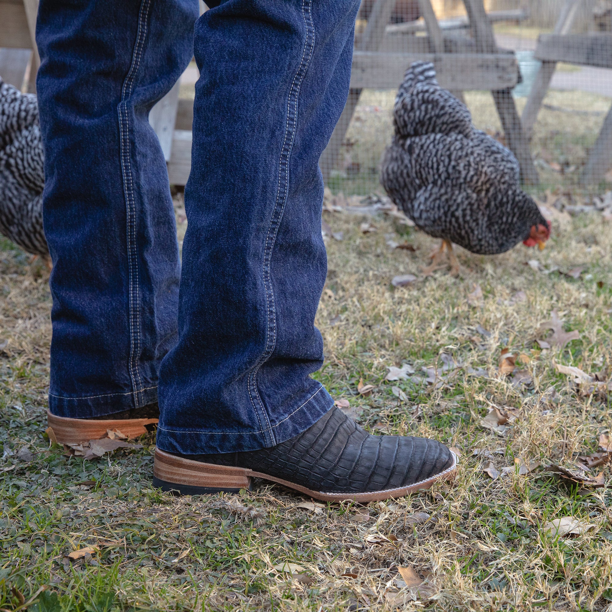 Jackson - Hobart edition Nile Crocodile Boot - Capitan Boots