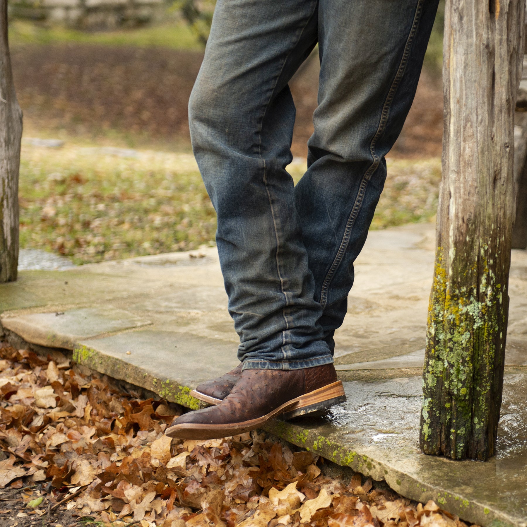 Jackson - Reno edition Full Quill Ostrich Boot - Capitan Boots