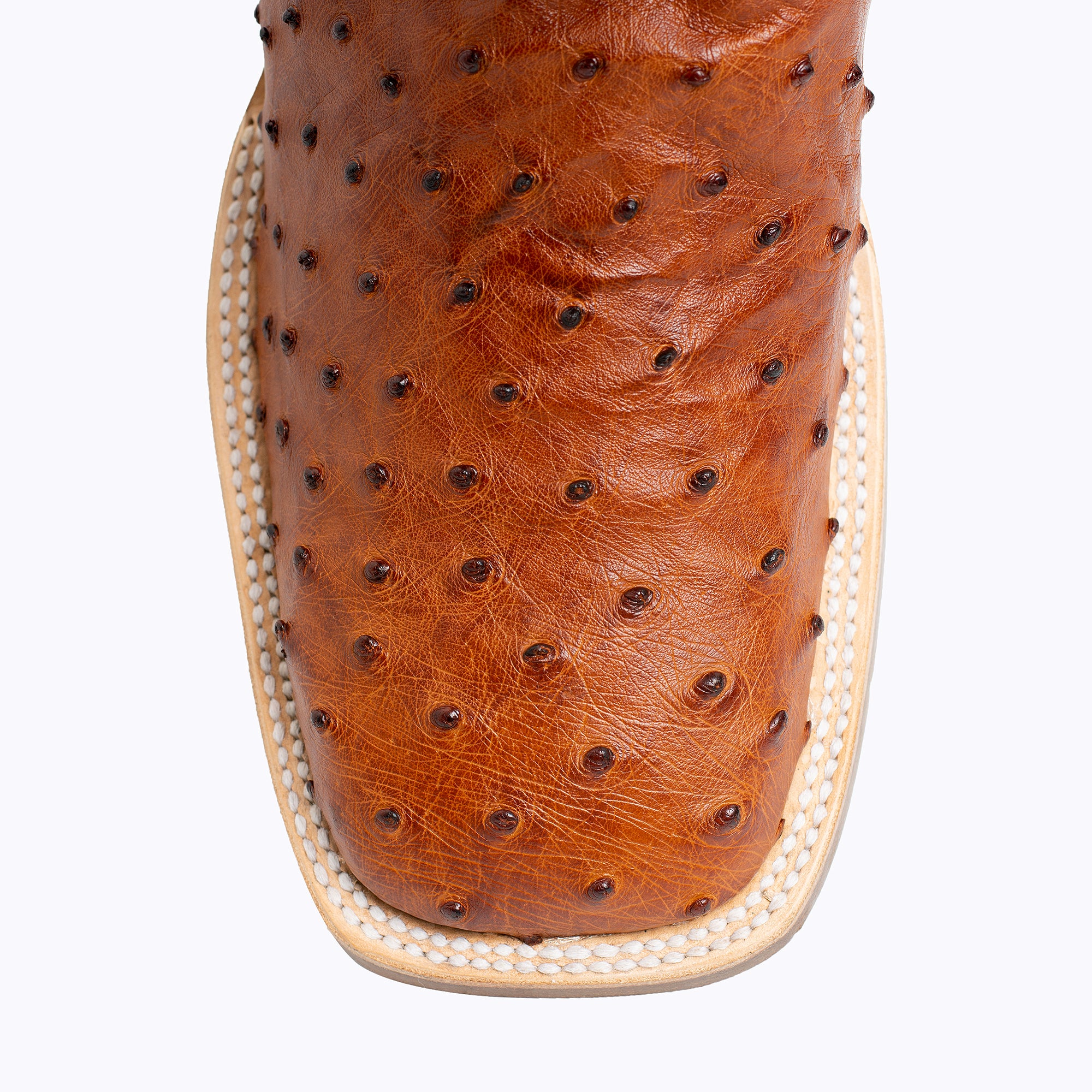 Jackson - LaGrange edition Full Quill Ostrich Boot - Capitan Boots
