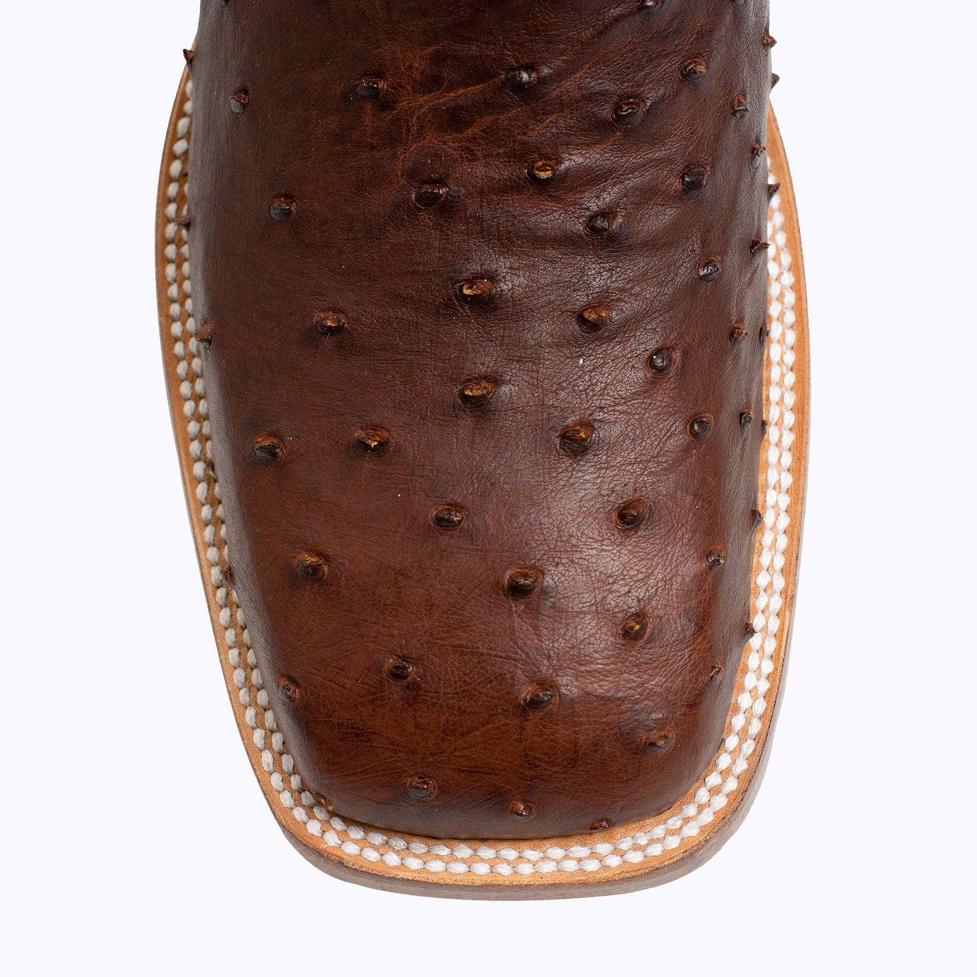 Jackson - Reno edition Full Quill Ostrich Boot - Capitan Boots