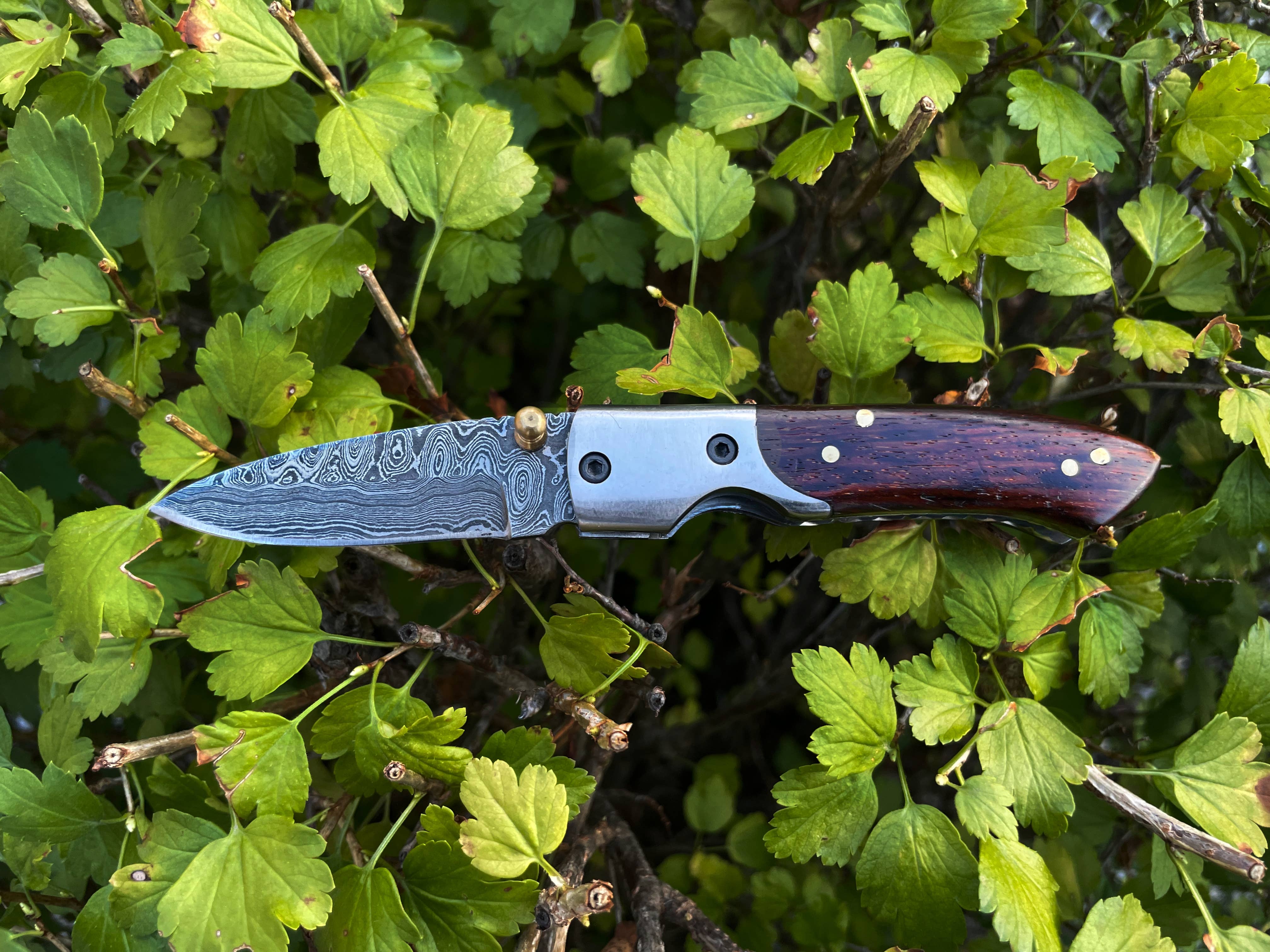 Black Burl Walnut Folding Damascus Pocket Knife with Leather Sheath